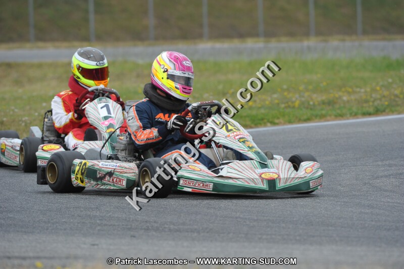 DSC_6602.JPG