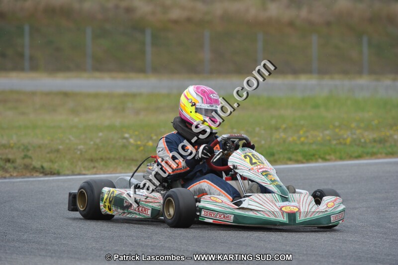 DSC_6651.JPG