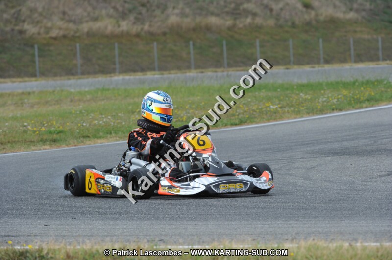 DSC_6732.JPG