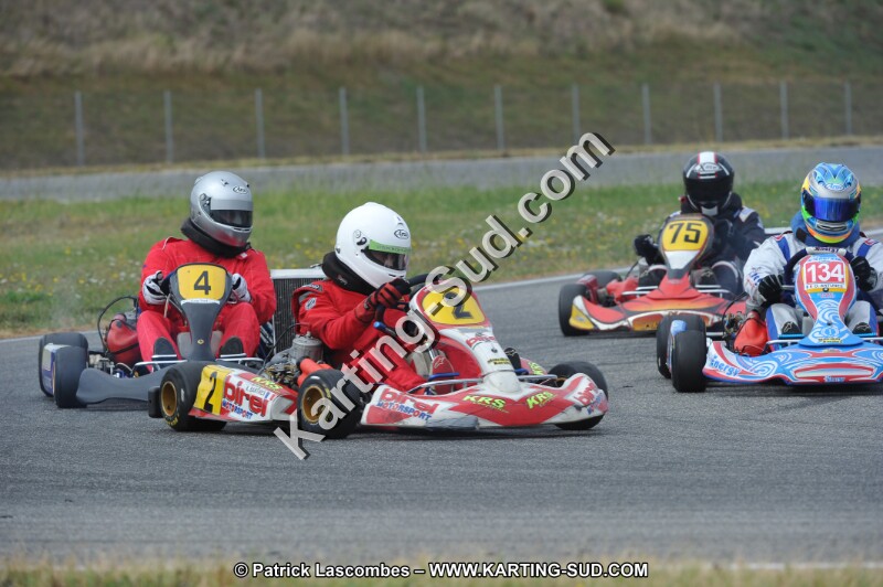 DSC_6734.JPG