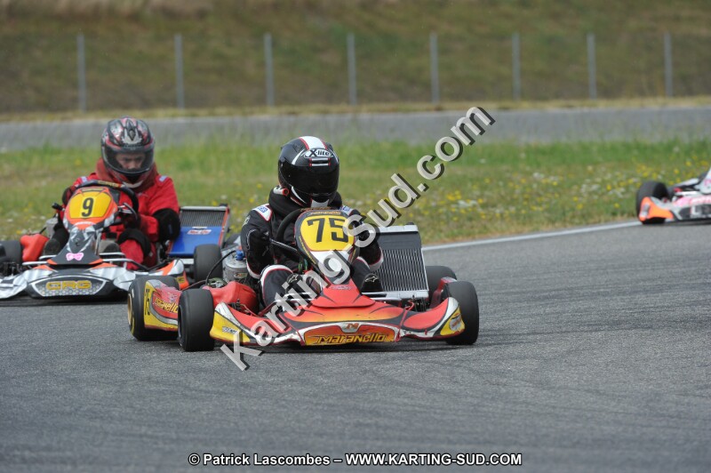 DSC_6763.JPG