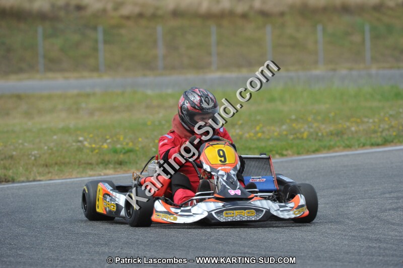 DSC_6786.JPG
