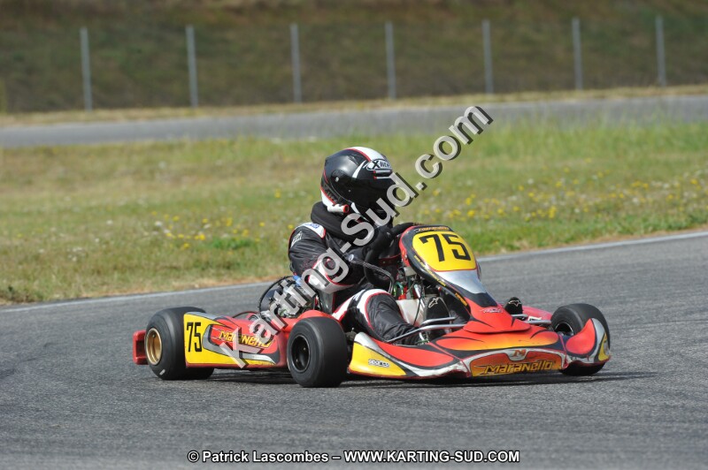 DSC_6805.JPG