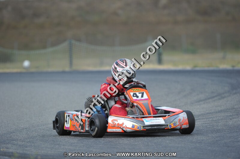 DSC_6856.JPG