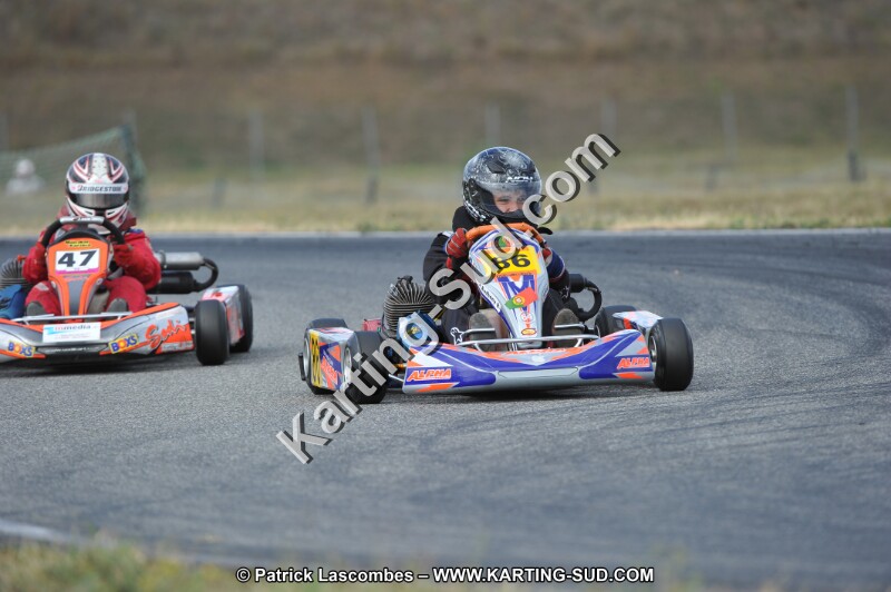 DSC_6878.JPG
