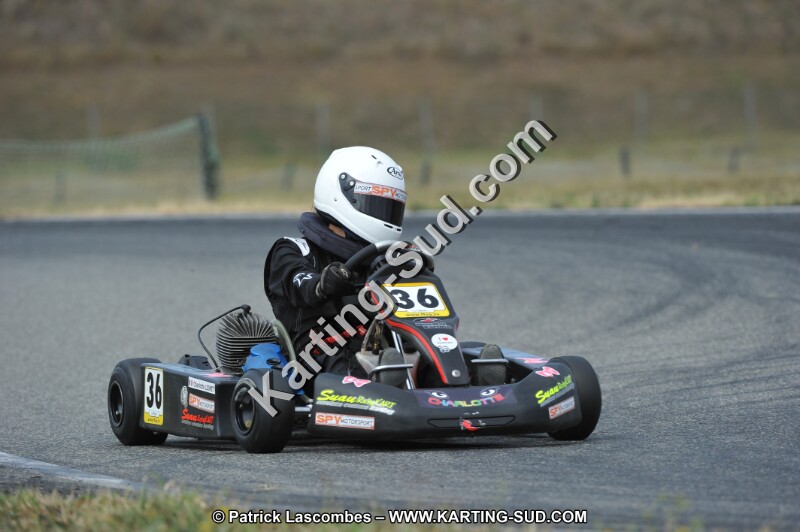 DSC_6926.JPG