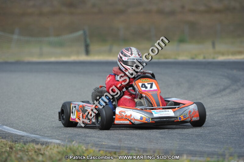 DSC_6931.JPG