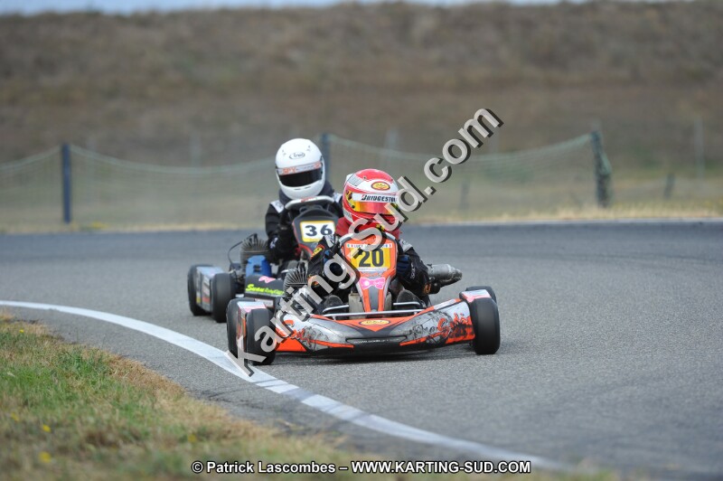 DSC_6956.JPG