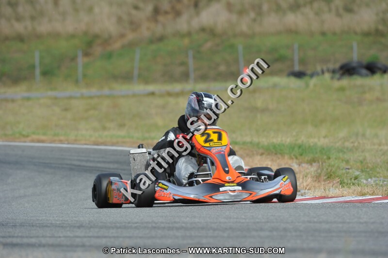 DSC_7010.JPG