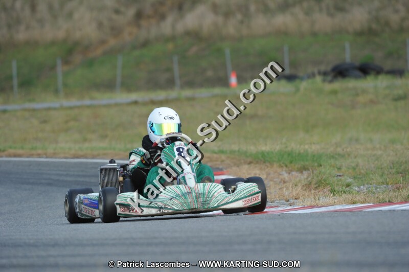 DSC_7029.JPG