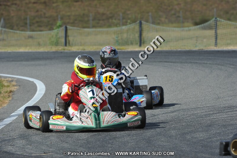 DSC_7137.JPG