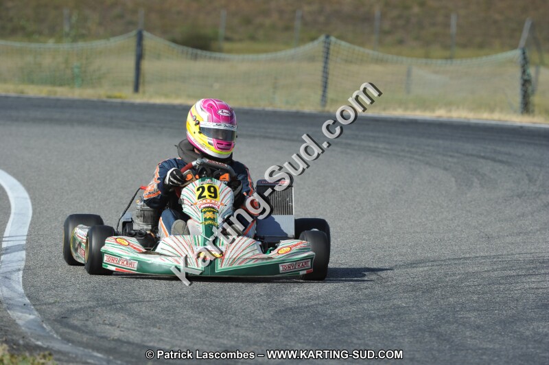 DSC_7175.JPG