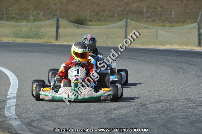 DSC_7176.JPG
