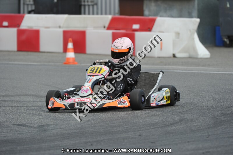 DSC_7337.JPG