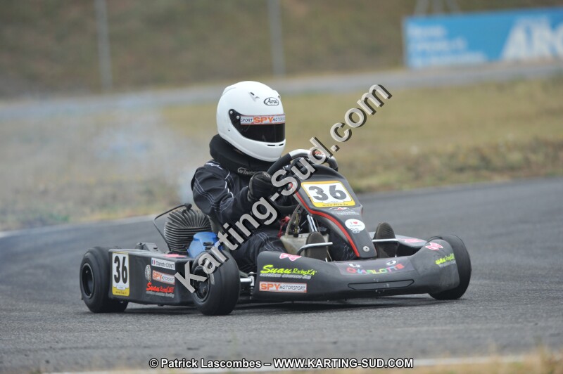 DSC_9242.JPG
