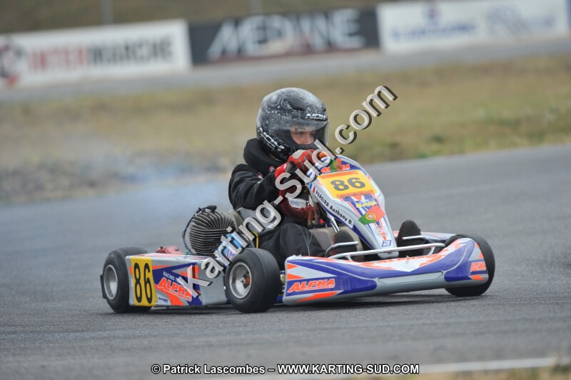 DSC_9248.JPG
