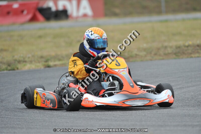 DSC_9319.JPG