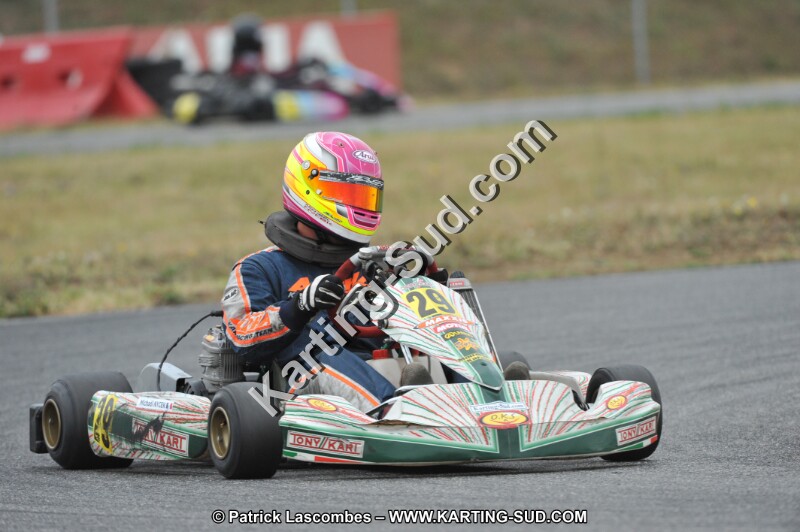 DSC_9333.JPG