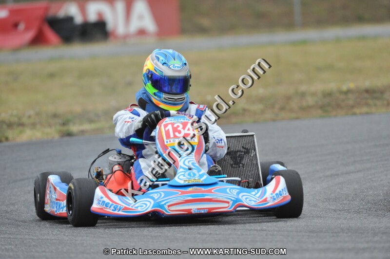 DSC_9335.JPG