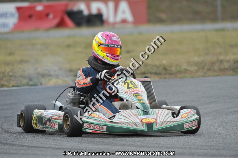 DSC_9519.JPG