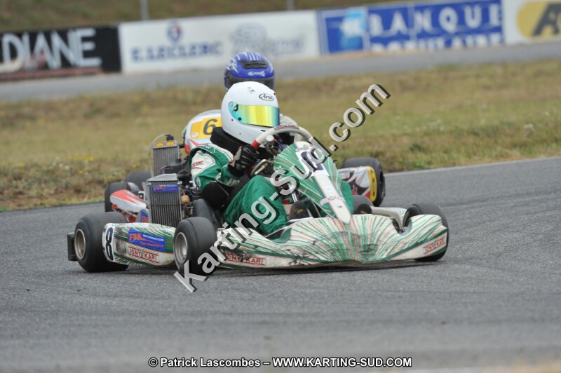 DSC_9919.JPG