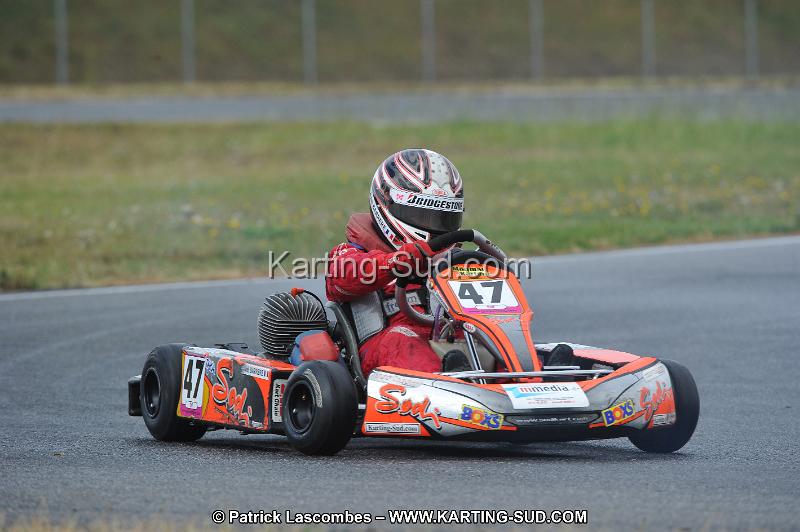 DSC_6254.JPG