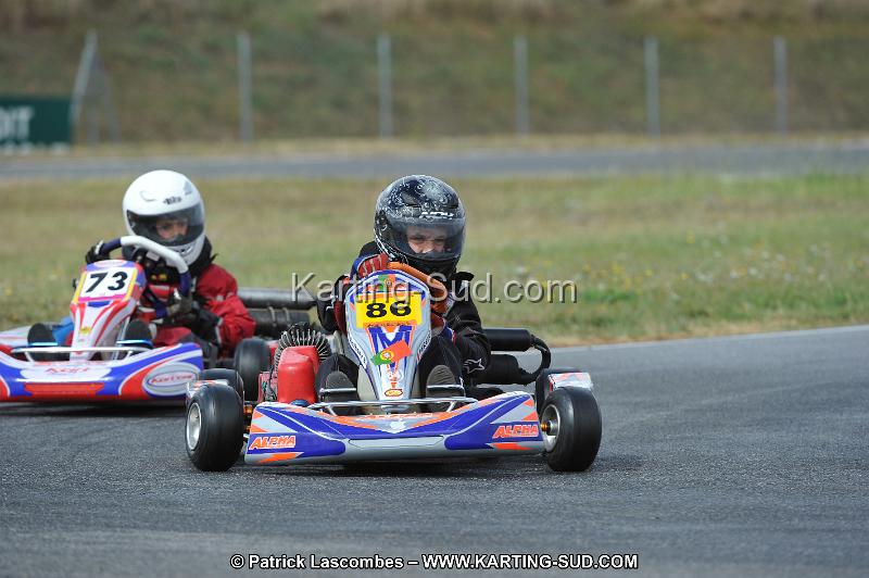DSC_6294.JPG