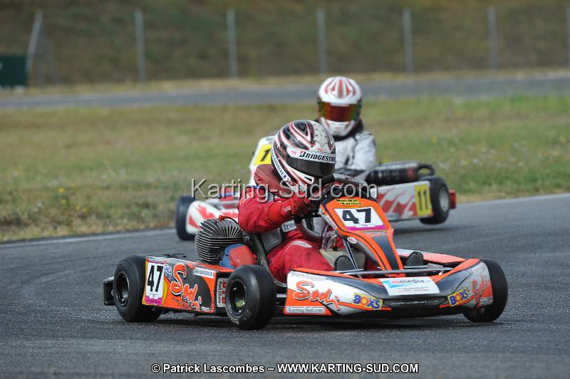 DSC_6295.JPG