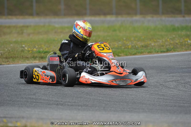 DSC_6500.JPG