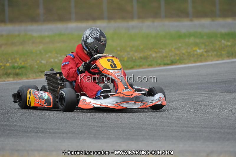 DSC_6511.JPG