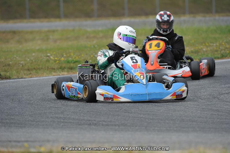 DSC_6517.JPG