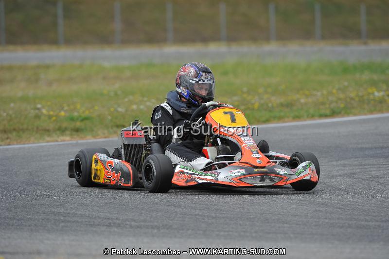 DSC_6519.JPG