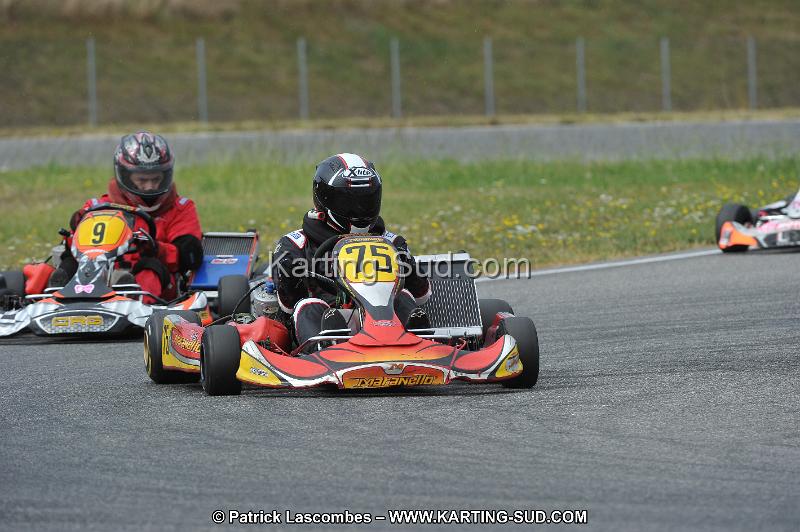 DSC_6763.JPG
