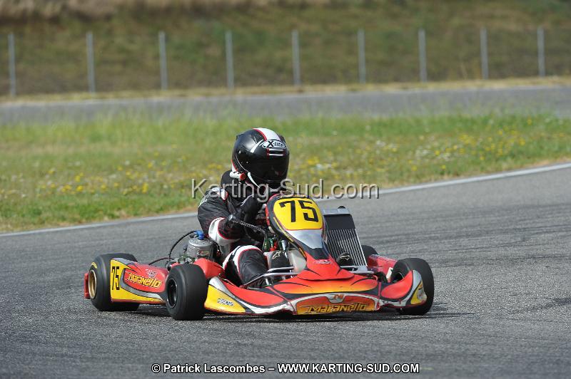 DSC_6816.JPG