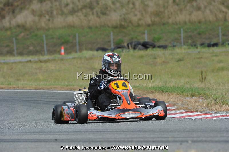 DSC_6981.JPG