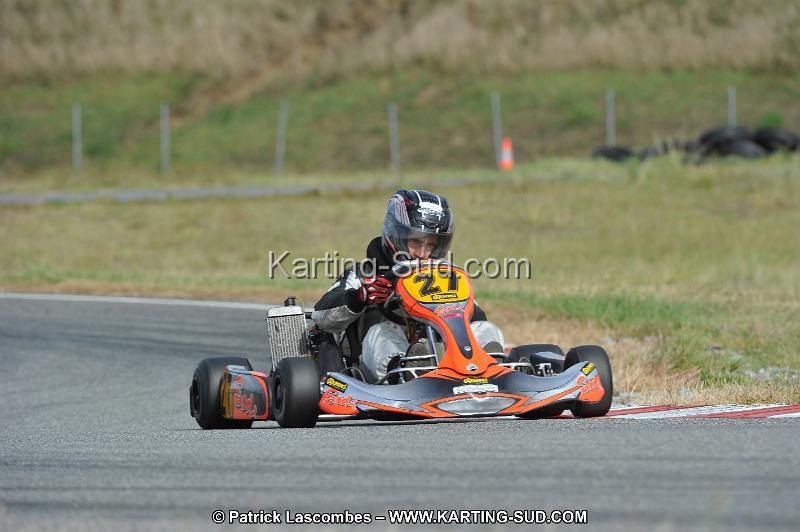 DSC_7010.JPG