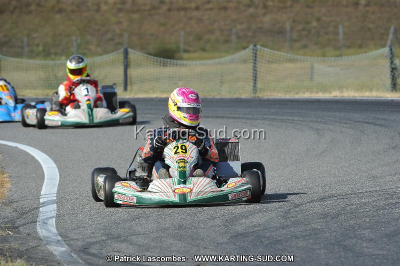 DSC_7155.JPG