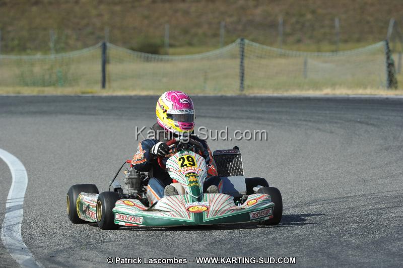 DSC_7219.JPG