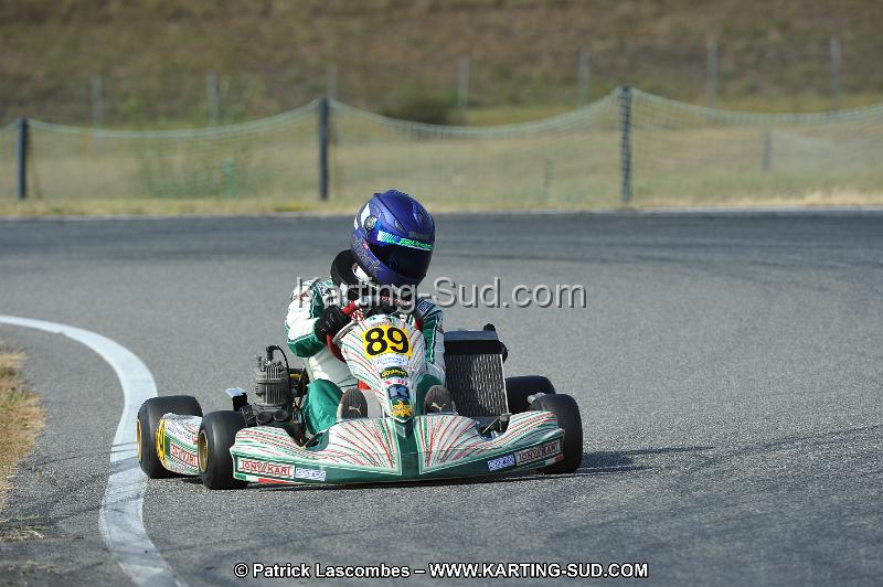 DSC_7233.JPG