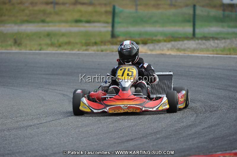 DSC_7275.JPG