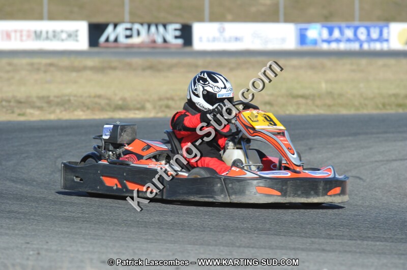DSC_7531.JPG