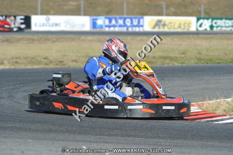 DSC_7548.JPG