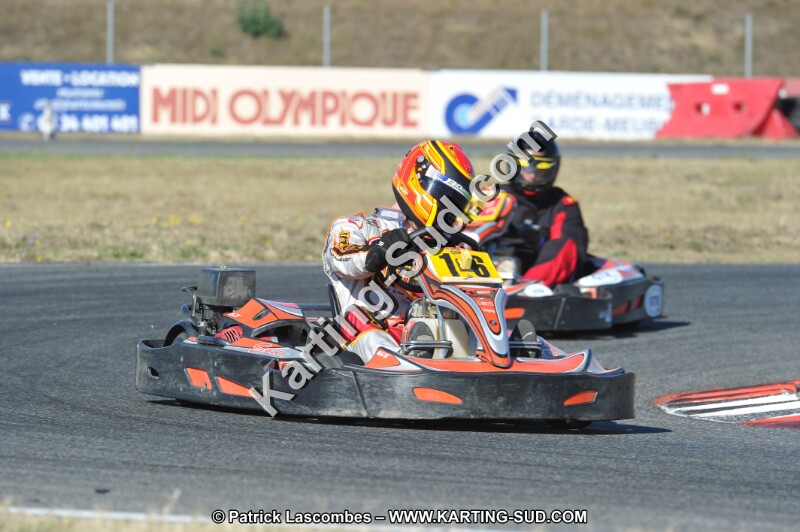 DSC_7733.JPG