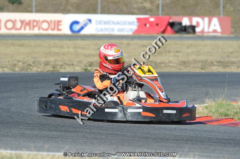 DSC_7737.JPG