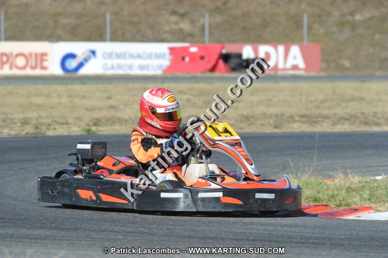 DSC_7784.JPG