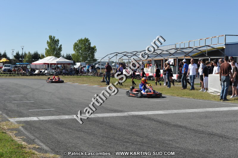 DSC_7802.JPG