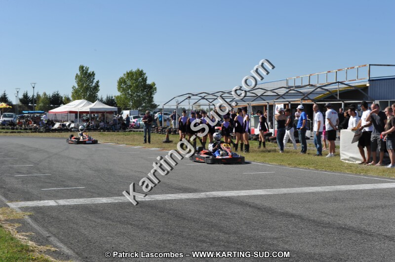 DSC_7805.JPG