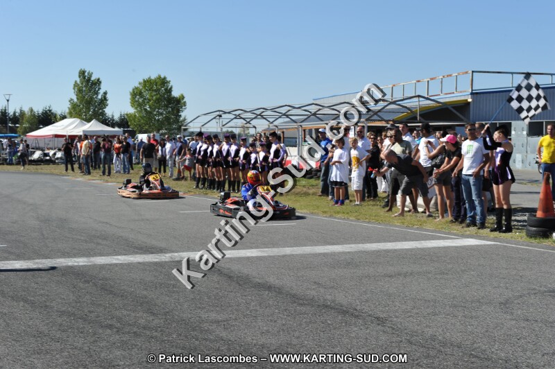 DSC_7817.JPG