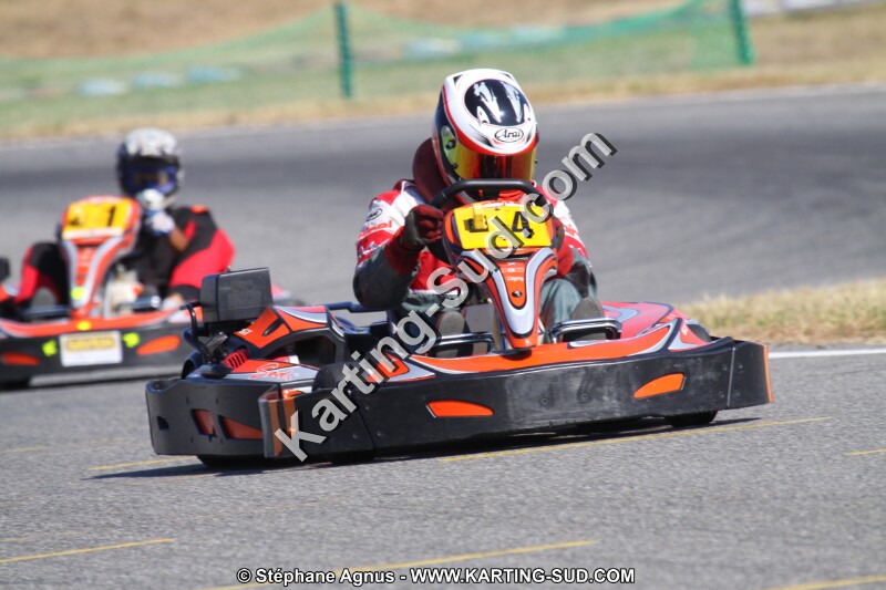 IMG_4000.JPG