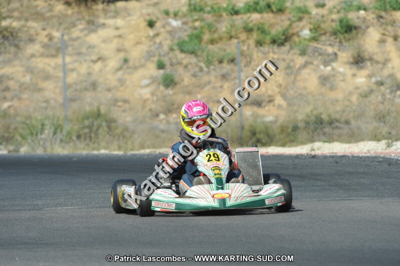 DSC_0212.JPG